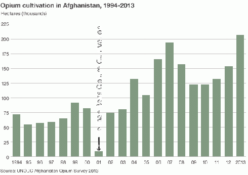 Opium production in Afghanistan.gif