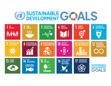 Sustainable Development Goals.svg
