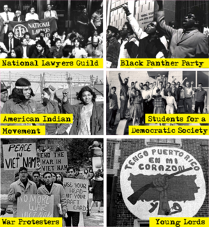 Cointelpro groups.png