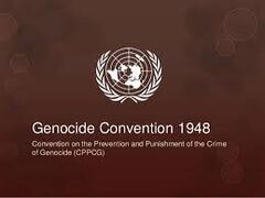 Genocide Convention.jpeg