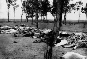 Armenian Genocide.jpg