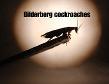 BB cockroaches.jpg