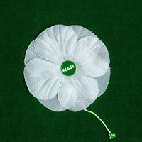 White poppy.jpg