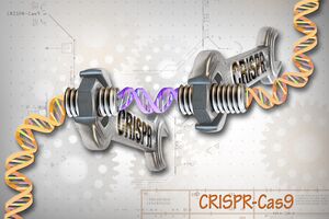 CRISPR-Cas9 Editing of the Genome (26453307604).jpg