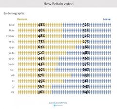 EU Vote.jpg