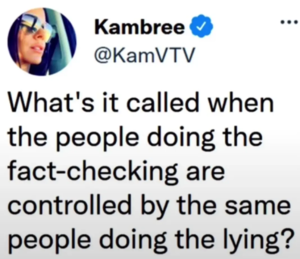 Fact checker-KamVTV.webp