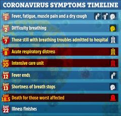 COVID-19 Pathology.jpg