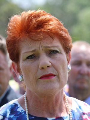 Pauline Hanson.png