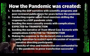 Gigaohm Biological on How the Pandemic was created - 2023-12-23 - Dark Days before Xmas.jpg