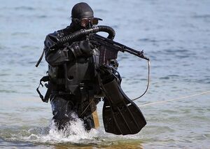 Russian commando frogman from a special detachment for combating underwater sabotage forces and means (PDSS) of the Caspian flotilla during exercises.jpg