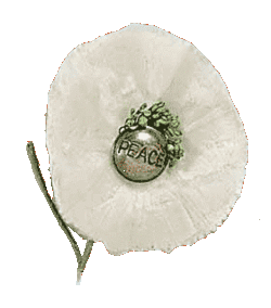 WhitePoppy2.gif