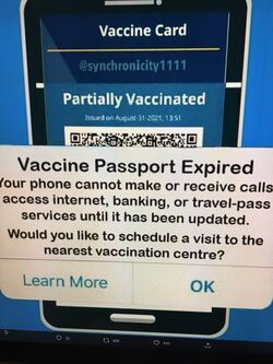 Vaccine passport.jpg