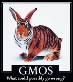 Genetically modified organism.jpg