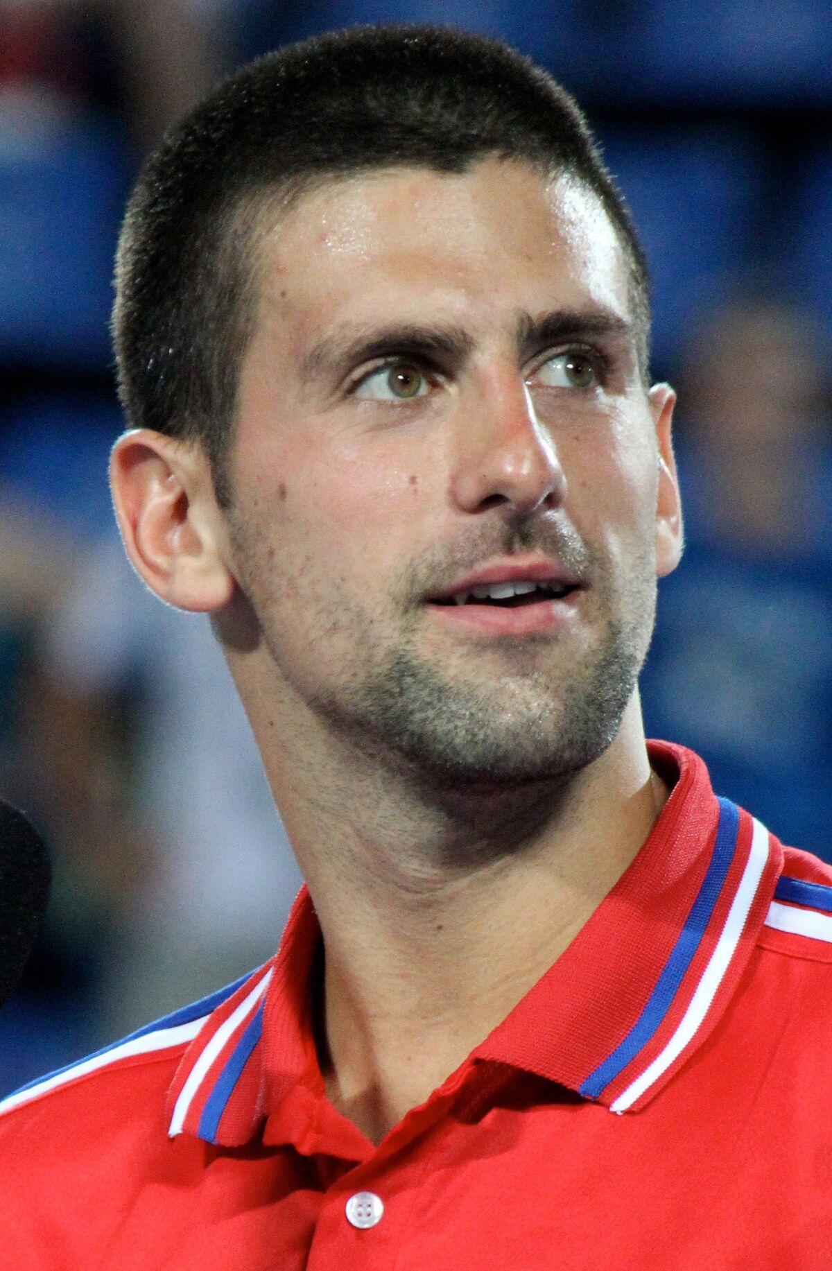 Novak Djokovic Wikispooks