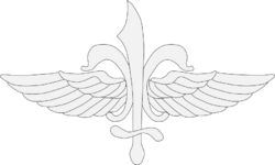 Sayeret Matkal insignia.svg