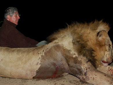 David Scholey and dead lion.jpg