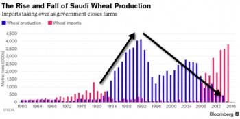 Saudi-wheat-production.jpg