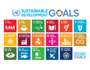 Sustainable Development Goals.svg