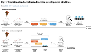 Traditional and accelerated vaccine-development pipelines by Florian Krammer.png