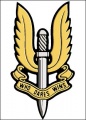SAS Badge.jpg