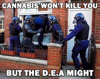 Dea may kill you.jpg