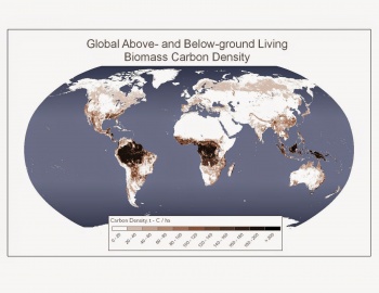 Living biomass global map.jpg