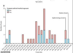 Lancet covid19 first cases.jpg