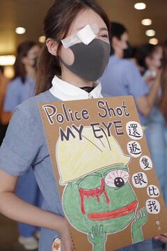 Chinese Pepe The Frog protestor in Hong Kong 2019.jpg