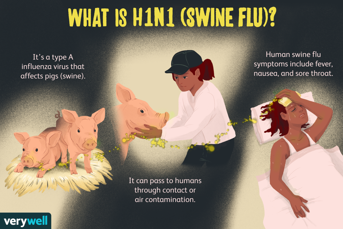 Swine flu (H1N1) Wikispooks