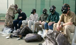 Gas masks.jpg