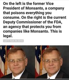 Monsanto revolving door.jpg